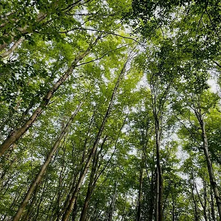 Landschaftstraeume Διαμέρισμα