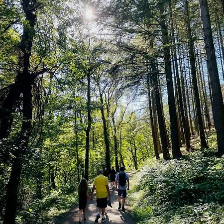 Landschaftstraeume Daire