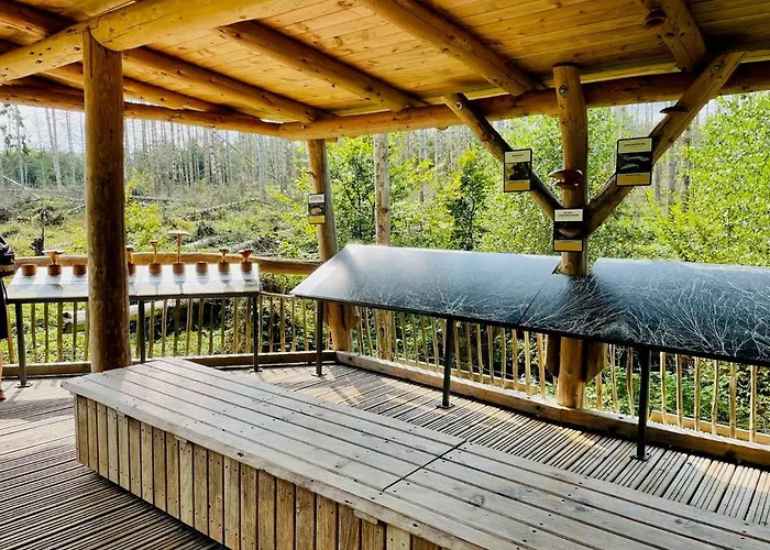 Landschaftstraeume * 锡默拉特