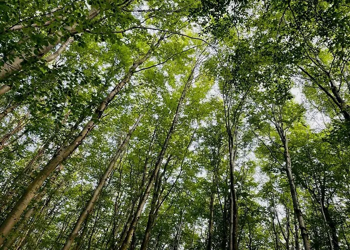 Landschaftstraeume Апартаменты